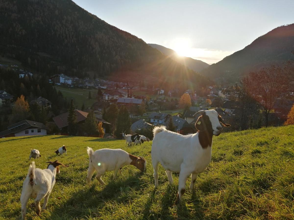 Gutzingerhof Villa Bad Kleinkirchheim Buitenkant foto